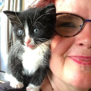 Meet your Posher, Maya